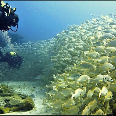 Puerto De Mogan Castillete 4 المظهر الخارجي الصورة